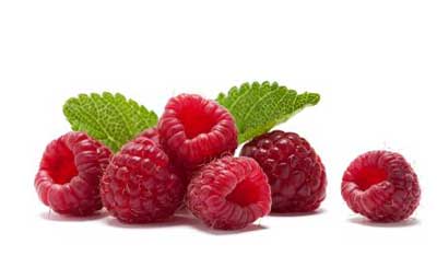Raspberry Ketone Supplement