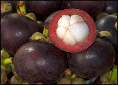 What is Mangosteen?
