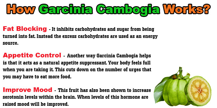 How Garcinia Cambogia Extract Works